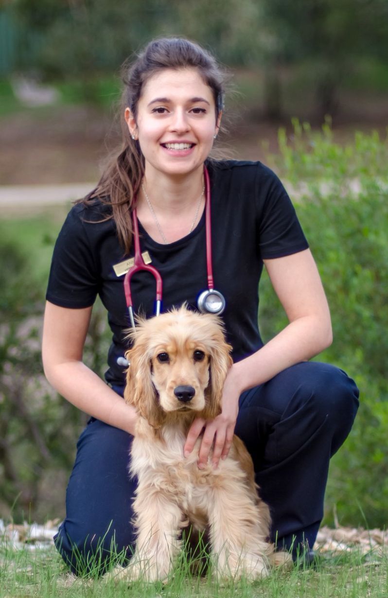 Dr Anna Gauci Dr Anna Gauci