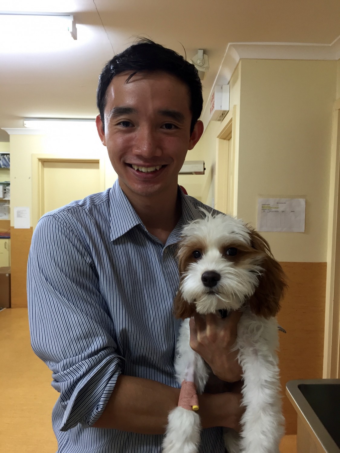 Dr Dominic Siu Dr Dominic Siu